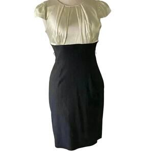 Lovely Sheath dress .  Great for office and dinner out.